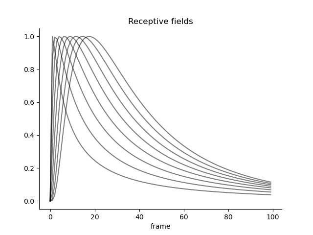 Receptive fields